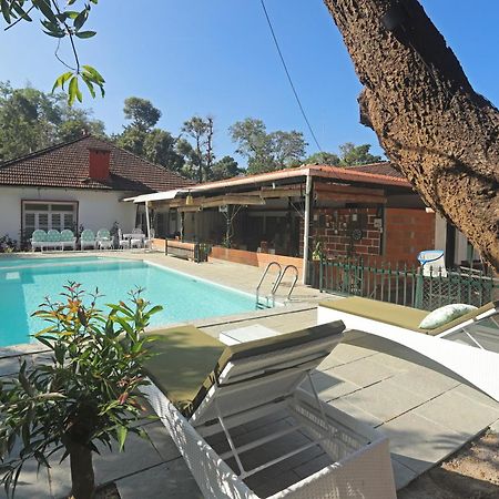 Devi Villa - Plantation Retreat And Forest Getaway Kutta Exterior photo